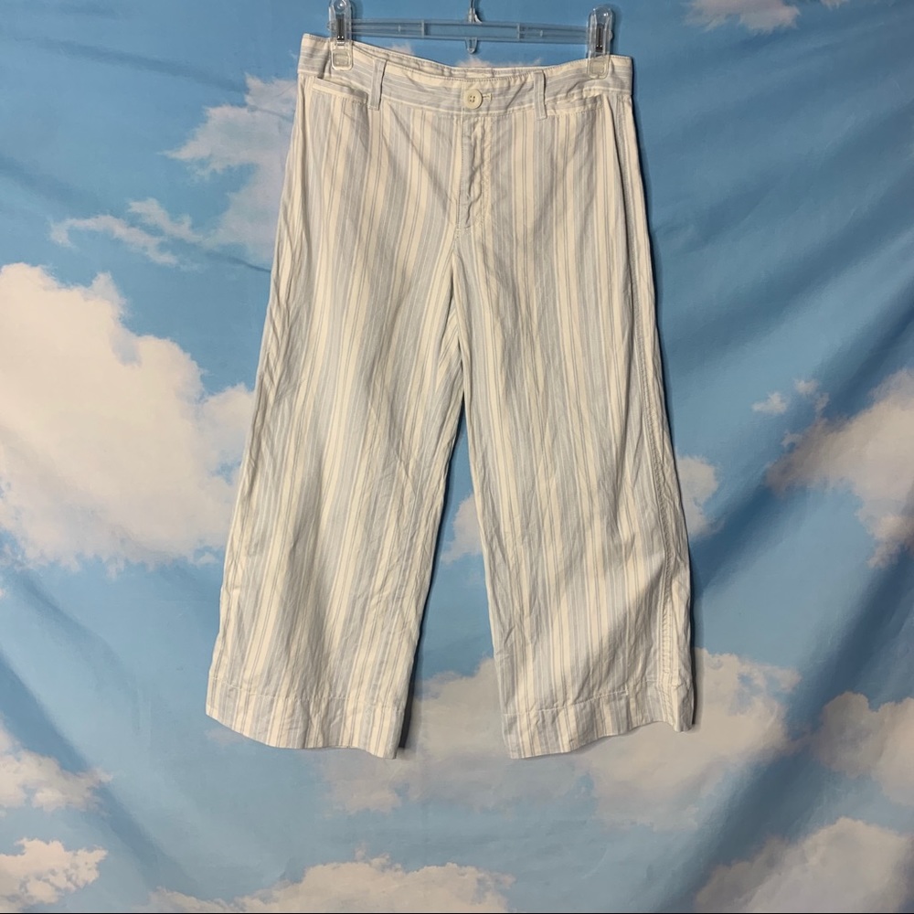 Gap-Wide Leg Crop Blue Striped Pants size 2 Petite